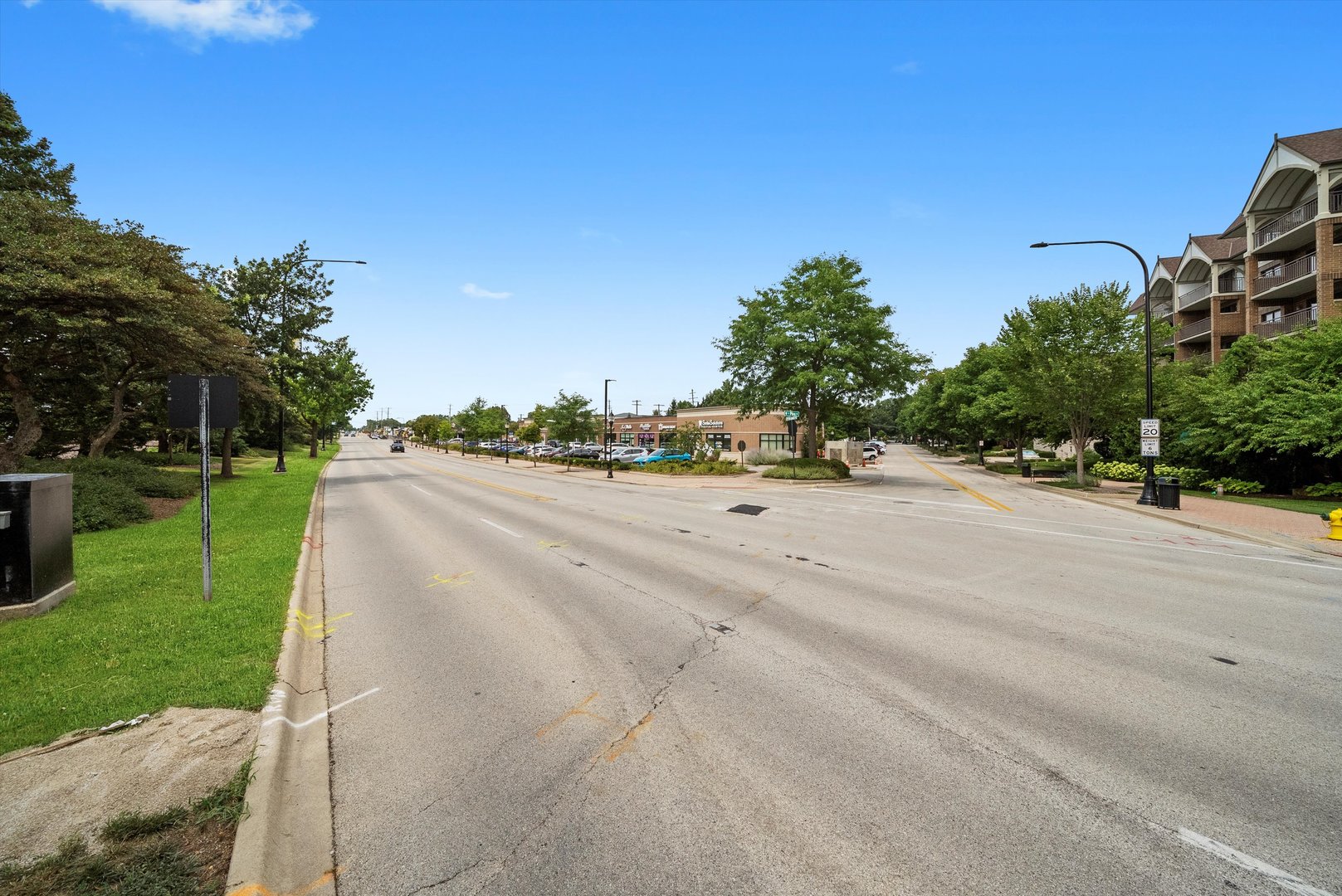 15 S Pine Street #204A, Mount Prospect, IL 60056
