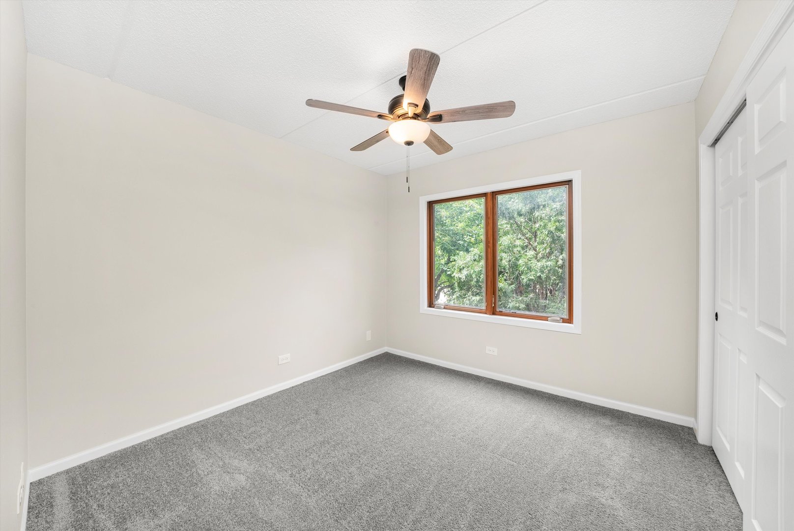 15 S Pine Street #204A, Mount Prospect, IL 60056