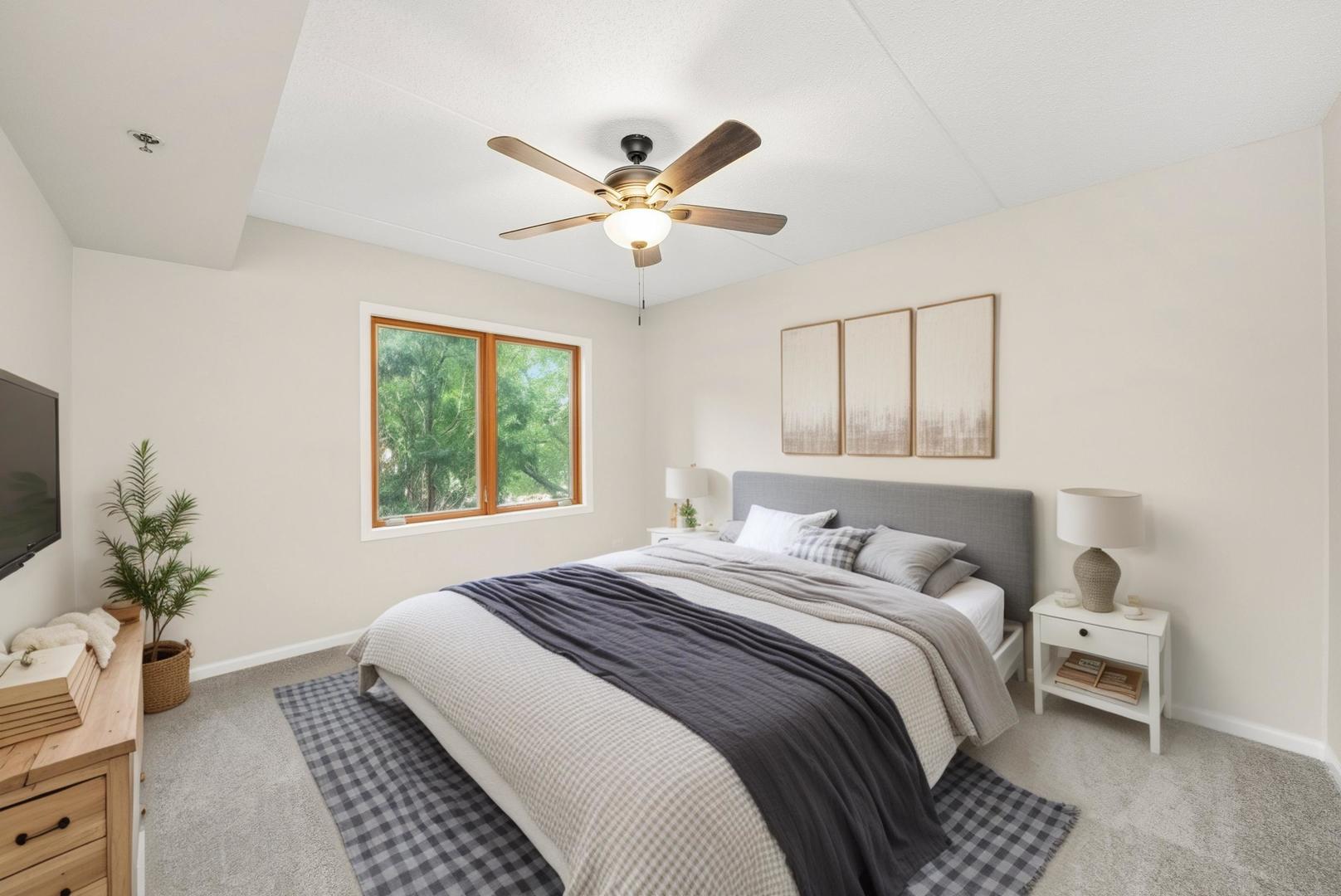 15 S Pine Street #204A, Mount Prospect, IL 60056