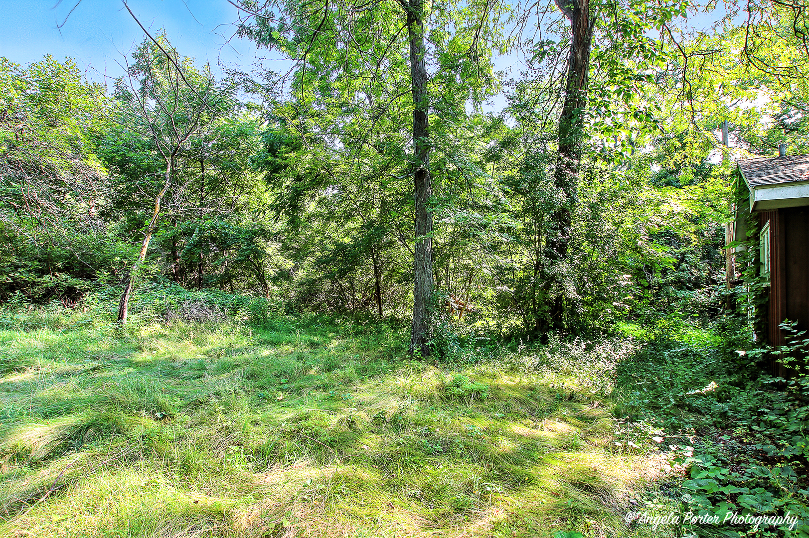 24952 W Island Drive, Antioch, IL 60002