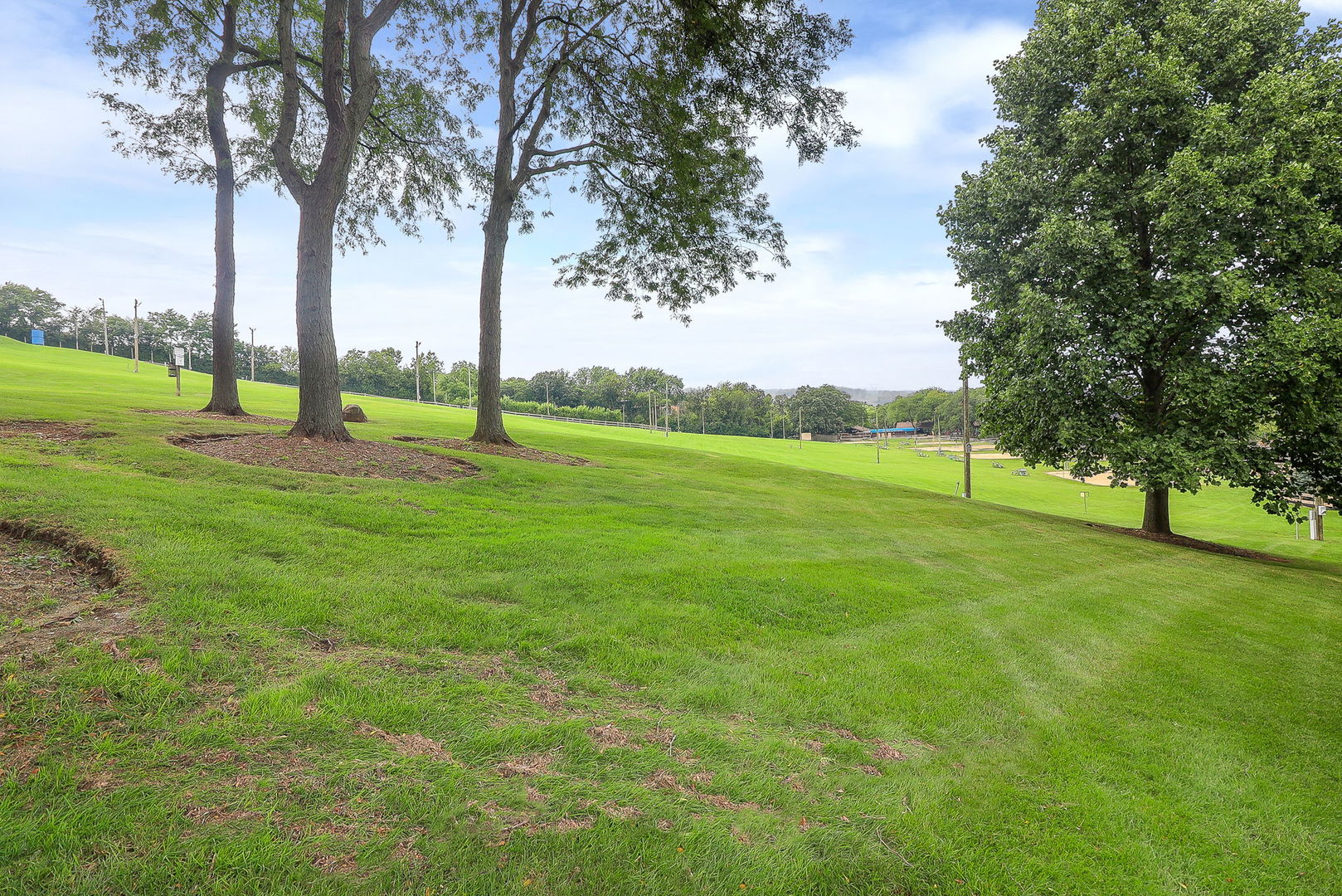 5803 Oakwood Drive #C, Lisle, IL 60532