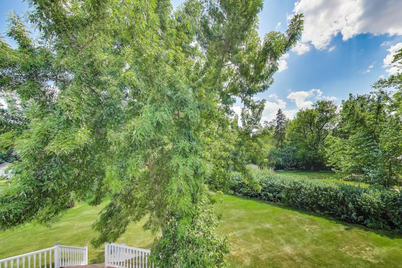 591 E Diane Drive, Palatine, IL 60074