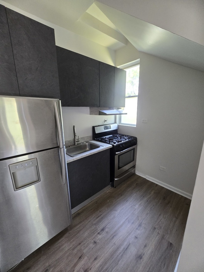 5022 S Elizabeth Street #2, Chicago, IL 60609