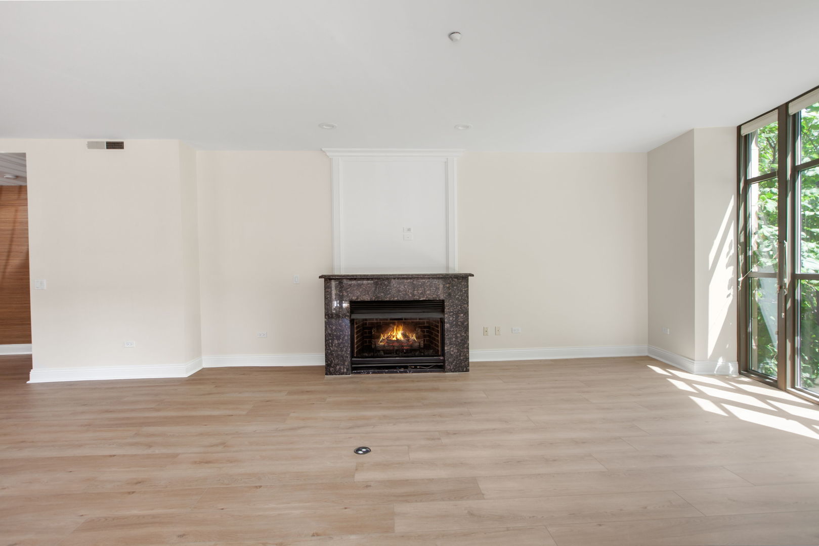 520 S Washington Street #103, Naperville, IL 60540