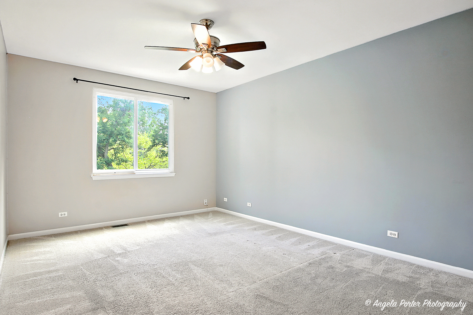 4342 Shooting Star Drive, Island Lake, IL 60042