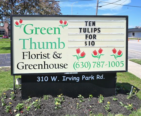 310 W Irving Park Road, Wood Dale, IL 60191