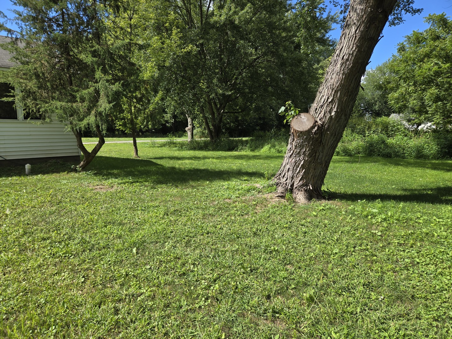 26895 N Bernice Street, Wauconda, IL 60084