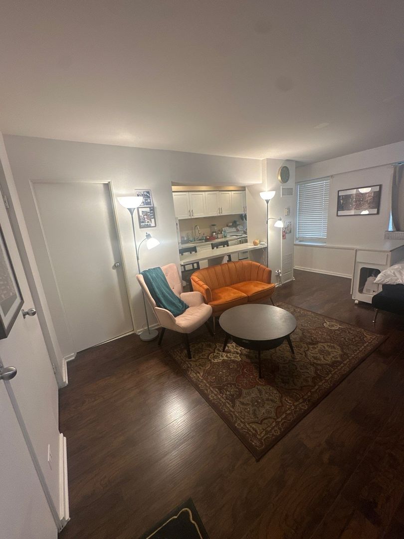 40 E 9 Street #312, Chicago, IL 60605