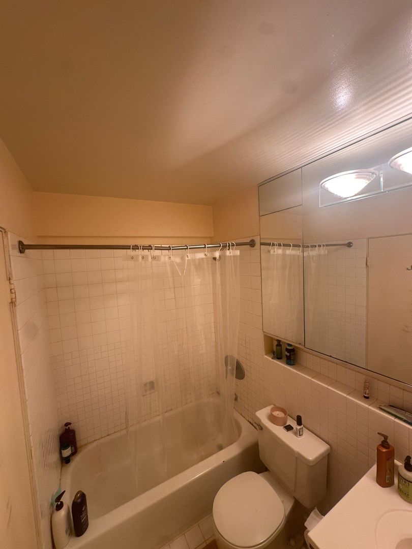 40 E 9 Street #312, Chicago, IL 60605