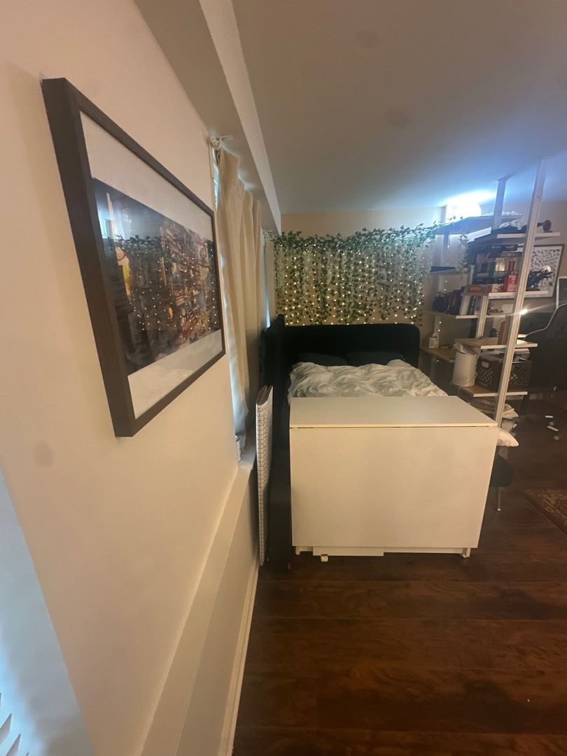 40 E 9 Street #312, Chicago, IL 60605