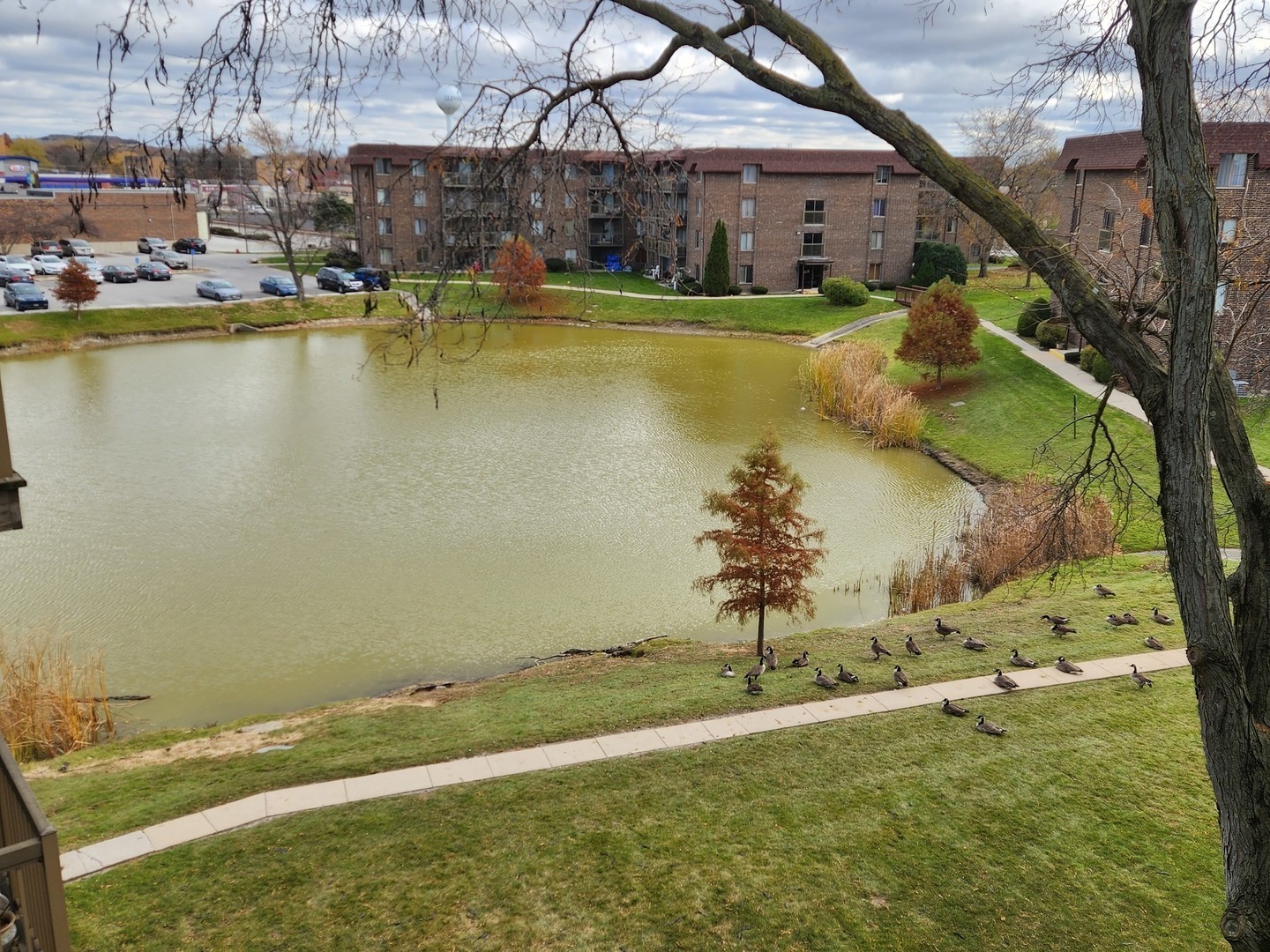 840 Elder Road, Homewood, IL 60430