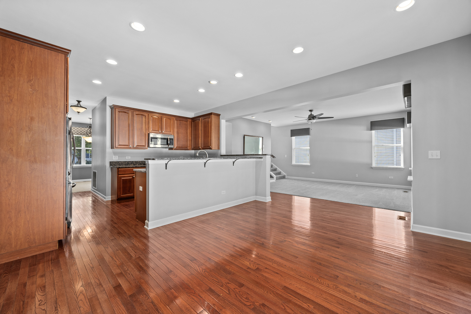 725 Delacourte Avenue, Bolingbrook, IL 60490
