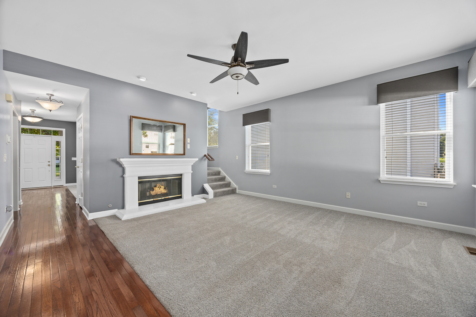 725 Delacourte Avenue, Bolingbrook, IL 60490
