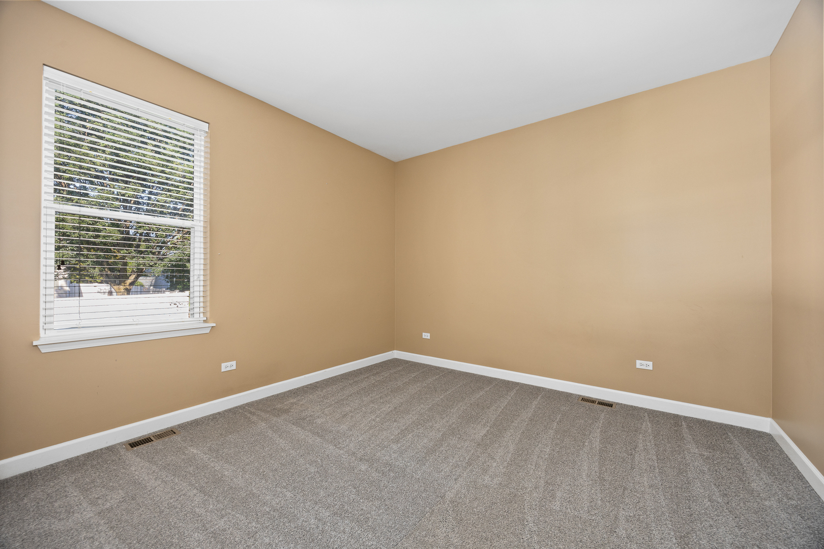 725 Delacourte Avenue, Bolingbrook, IL 60490