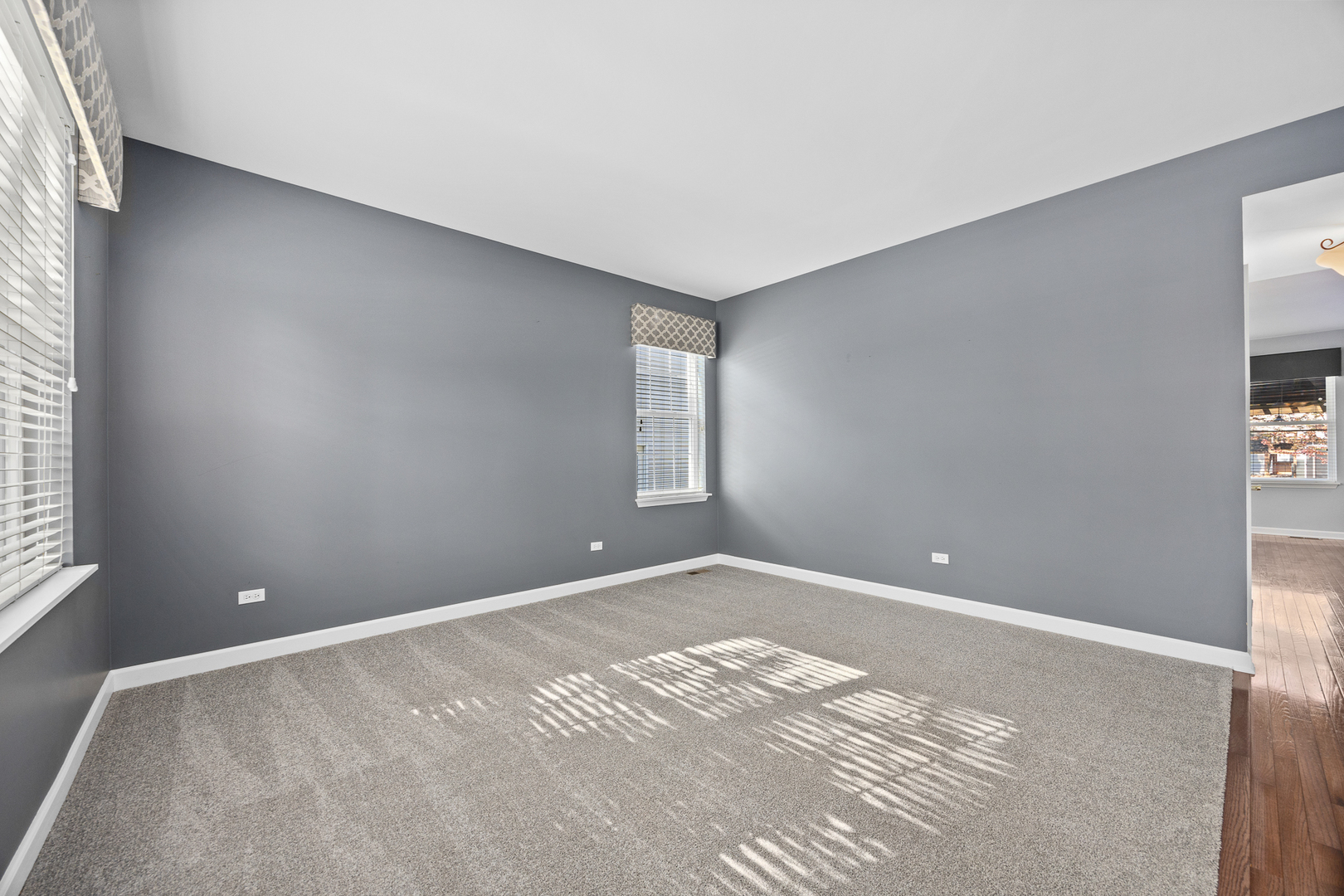 725 Delacourte Avenue, Bolingbrook, IL 60490