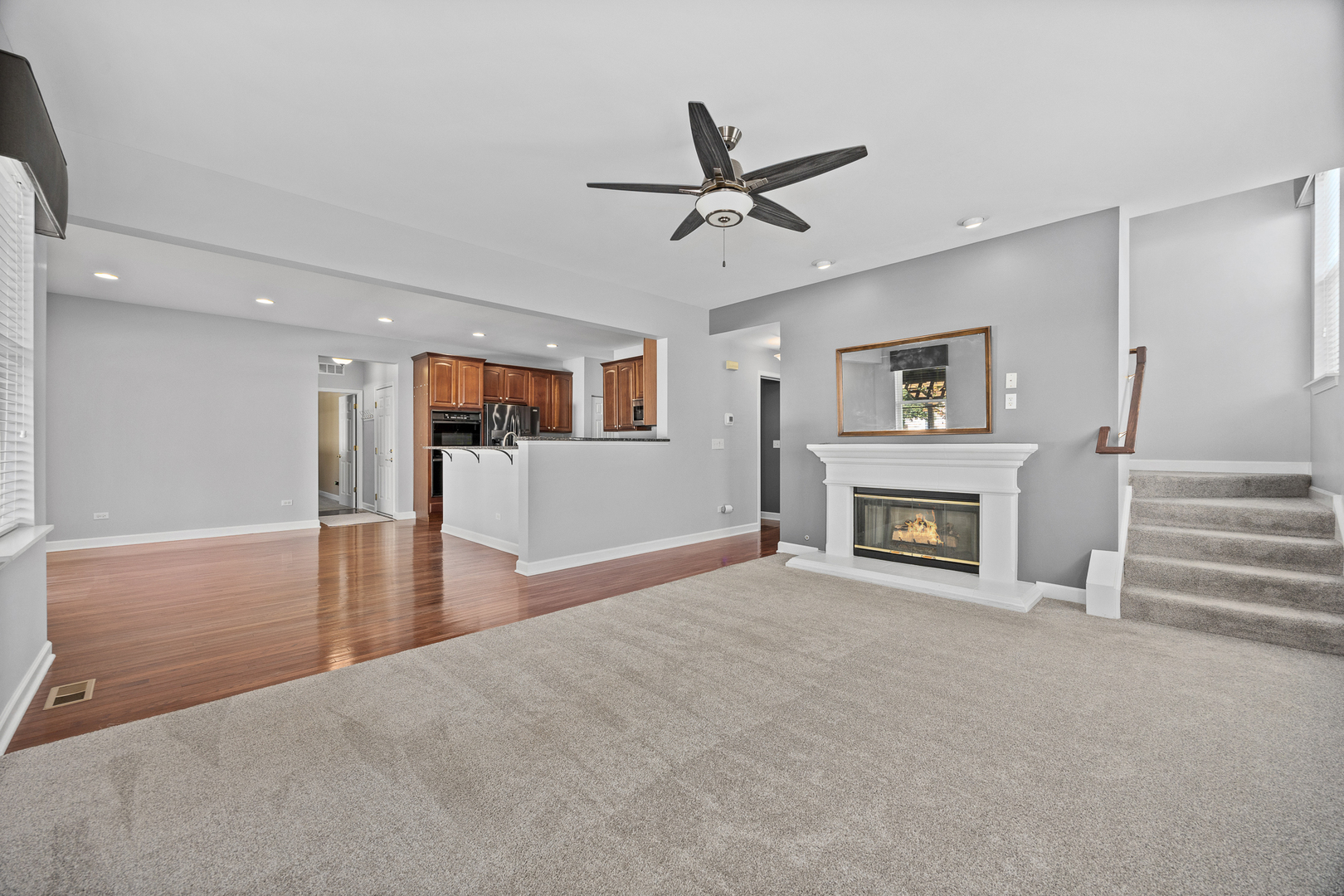 725 Delacourte Avenue, Bolingbrook, IL 60490