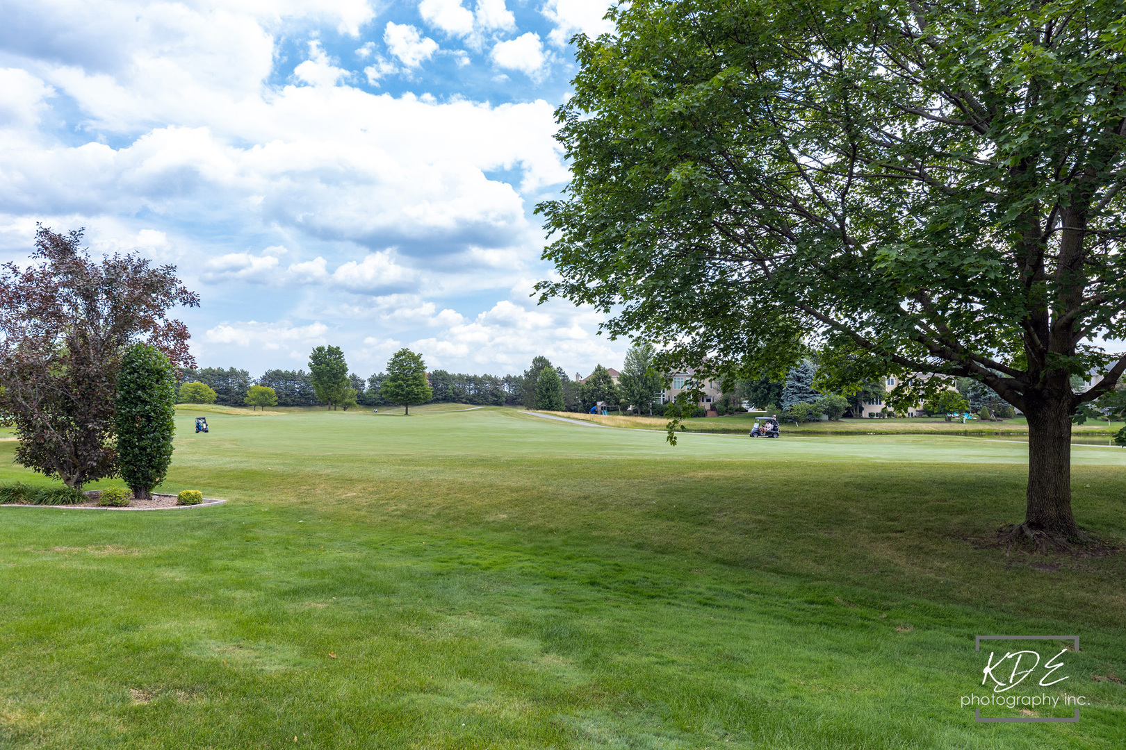 3136 Treesdale Court, Naperville, IL 60564