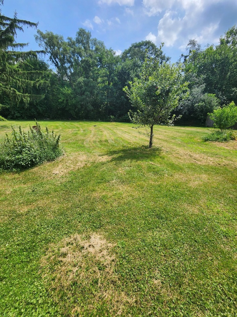 421 N Neltnor Boulevard, West Chicago, IL 60185