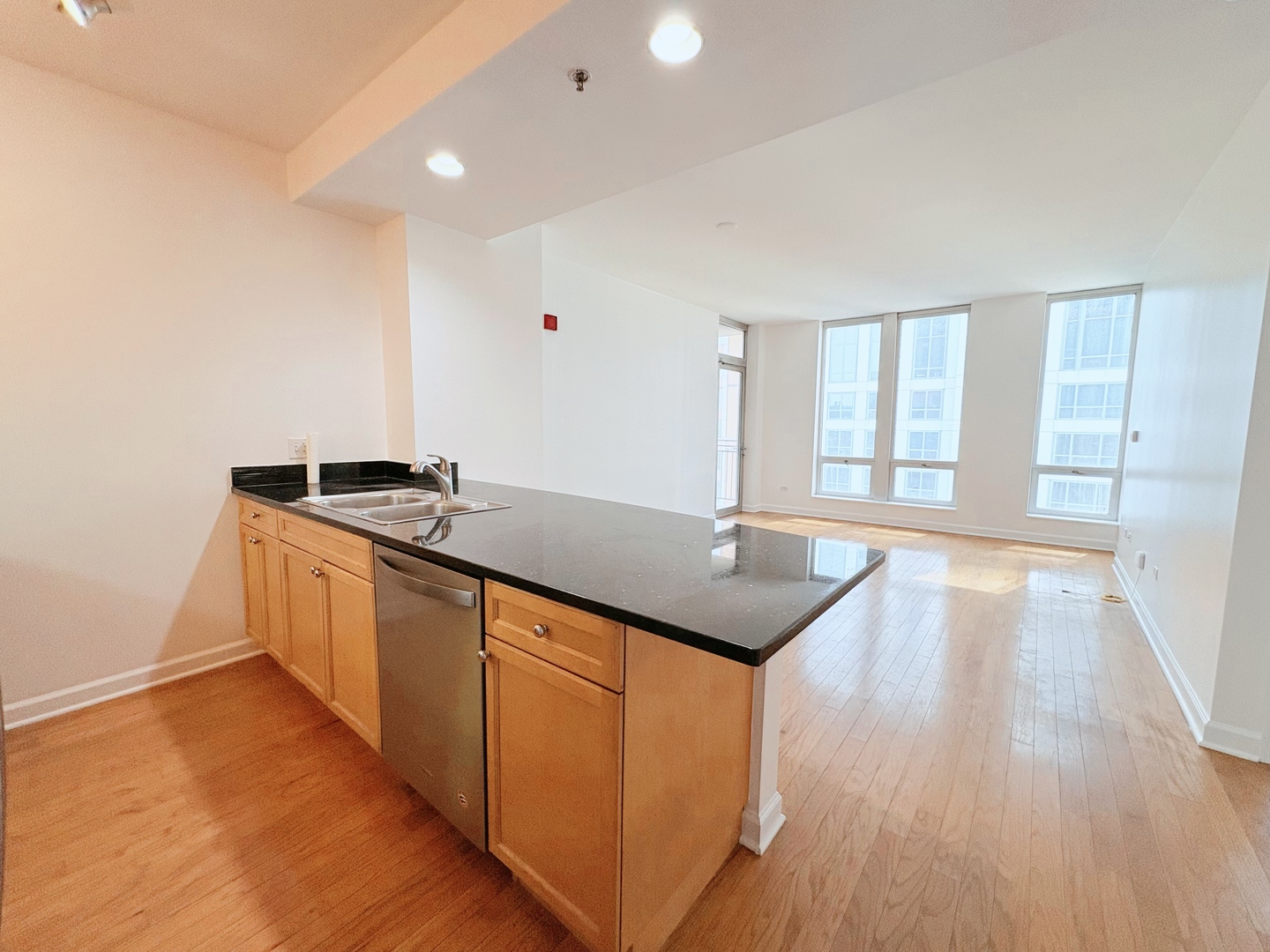1250 S Michigan Avenue #600, Chicago, IL 60605