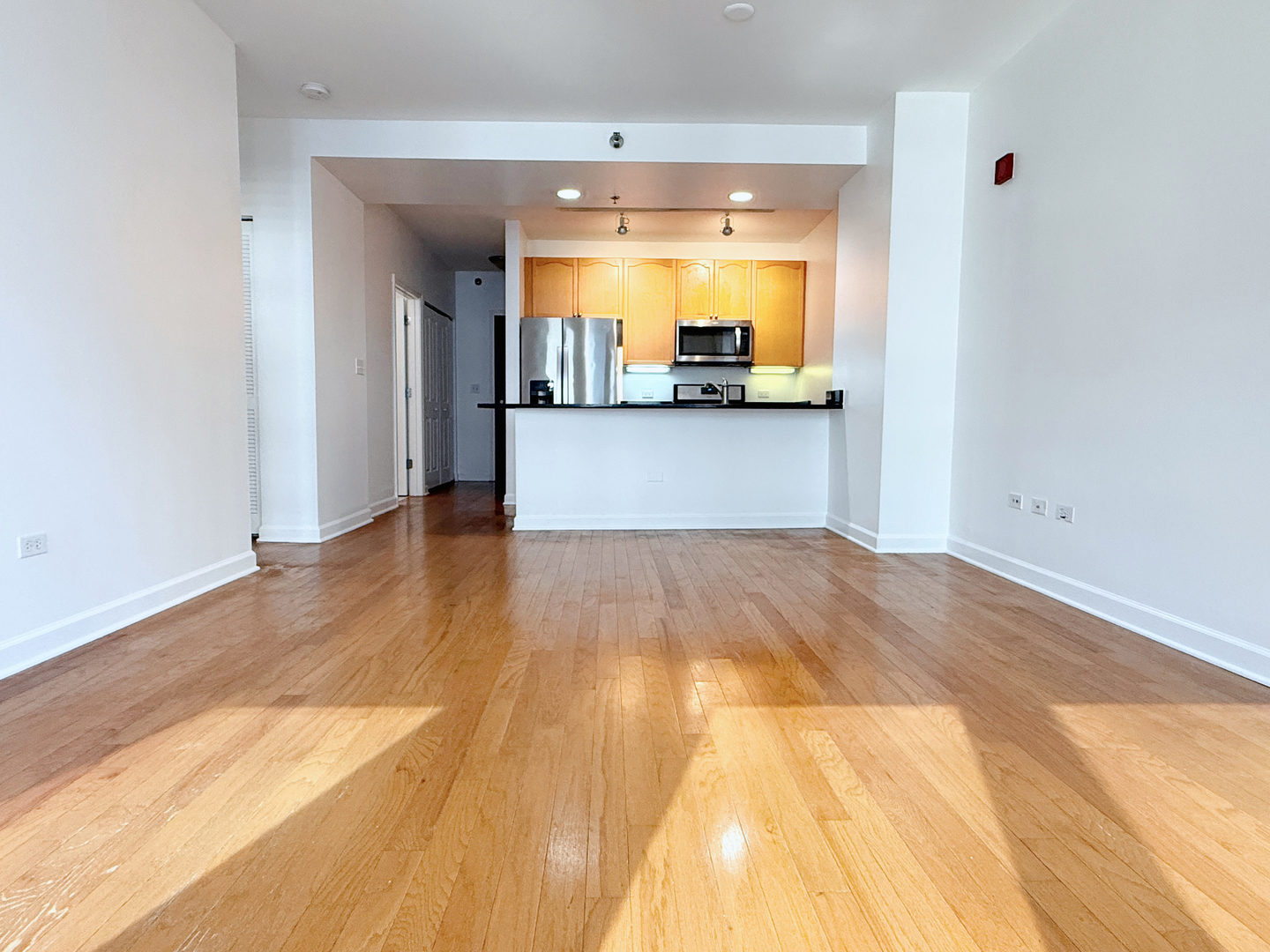 1250 S Michigan Avenue #600, Chicago, IL 60605