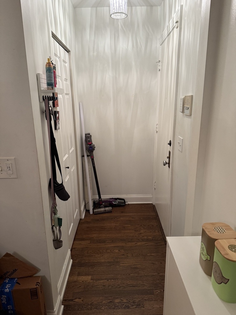 1155 W Grace Street #1S, Chicago, IL 60613