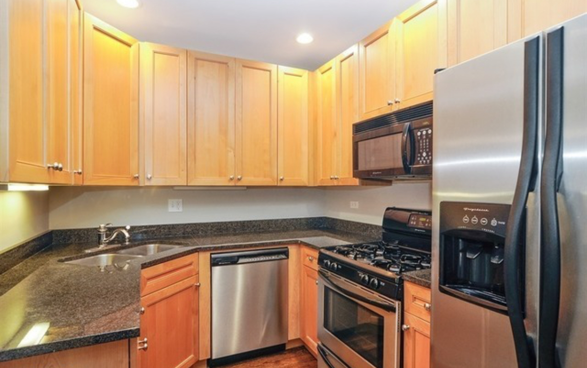 1155 W Grace Street #1S, Chicago, IL 60613
