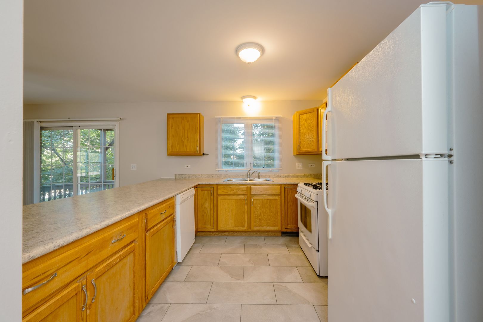 1223 E Davis Street #A, Arlington Heights, IL 60005