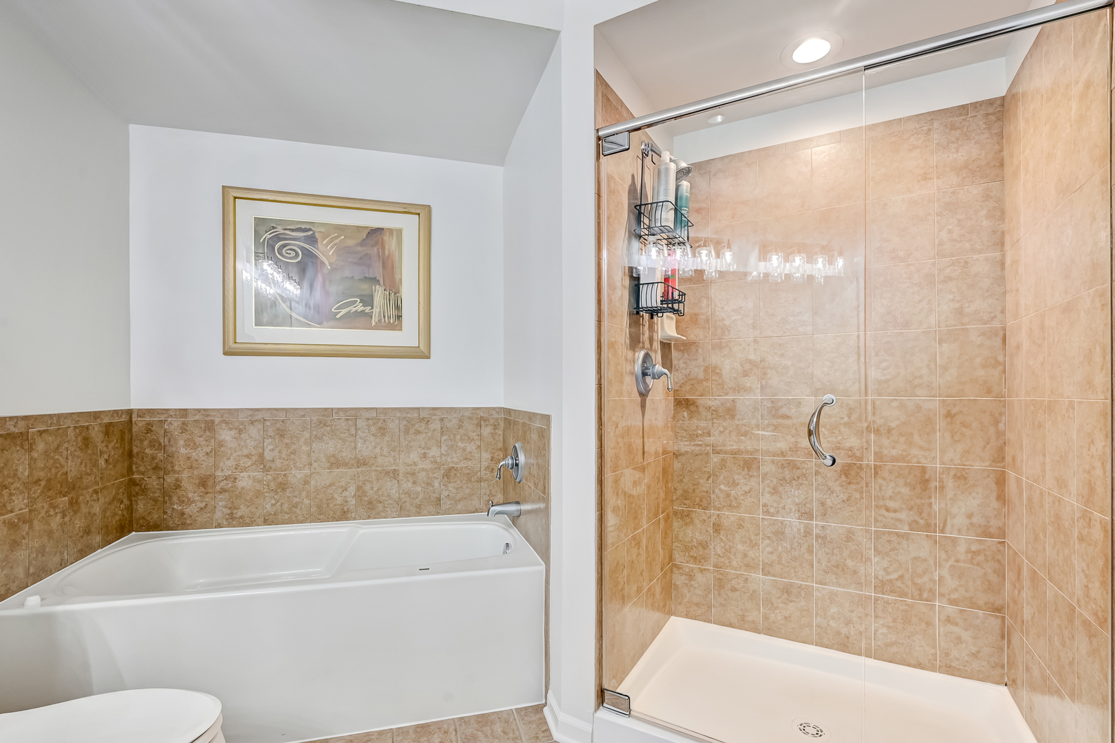 855 E 22nd Street #305, Lombard, IL 60148