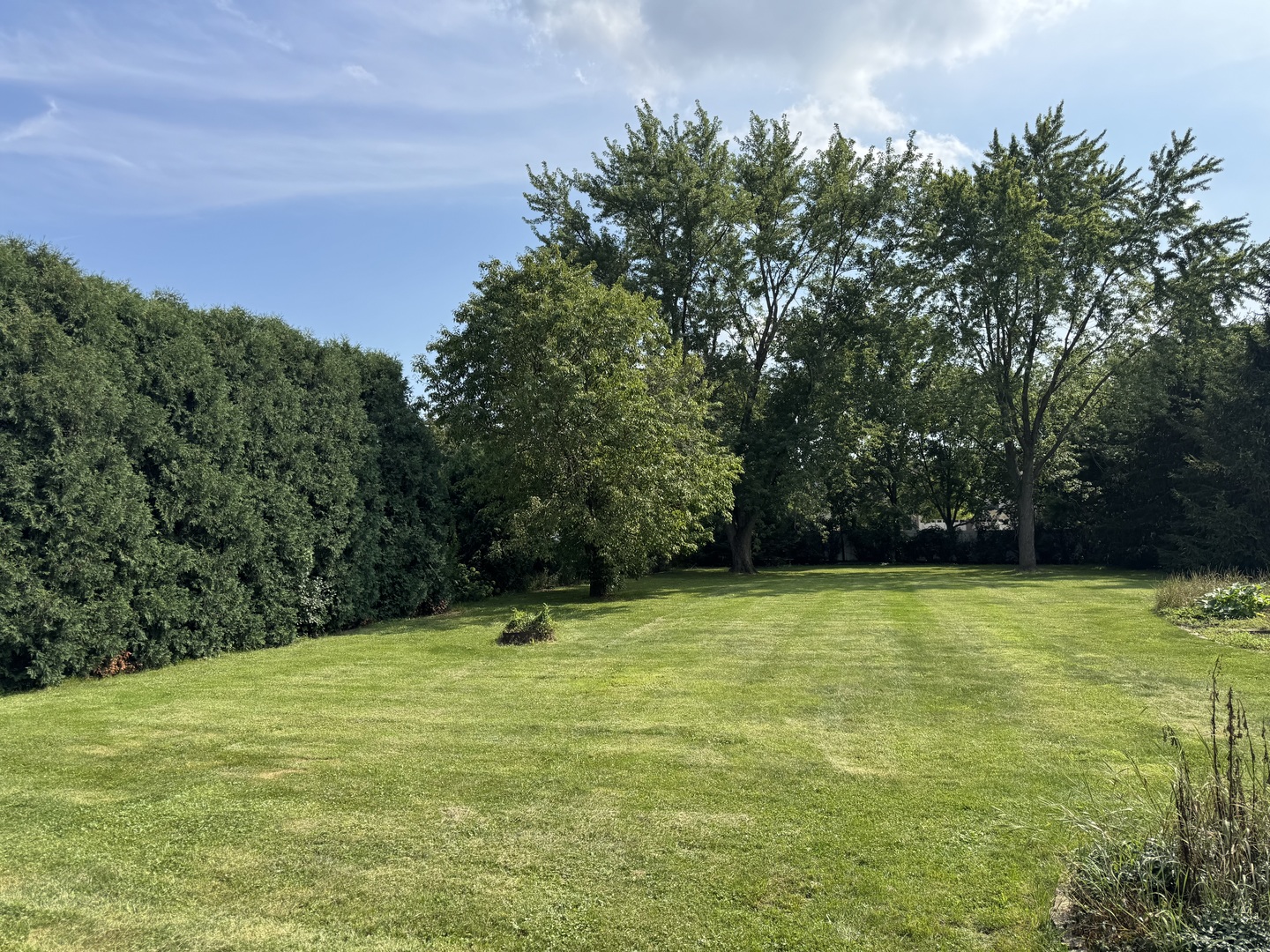 29W543 Batavia Road #6, Warrenville, IL 60555