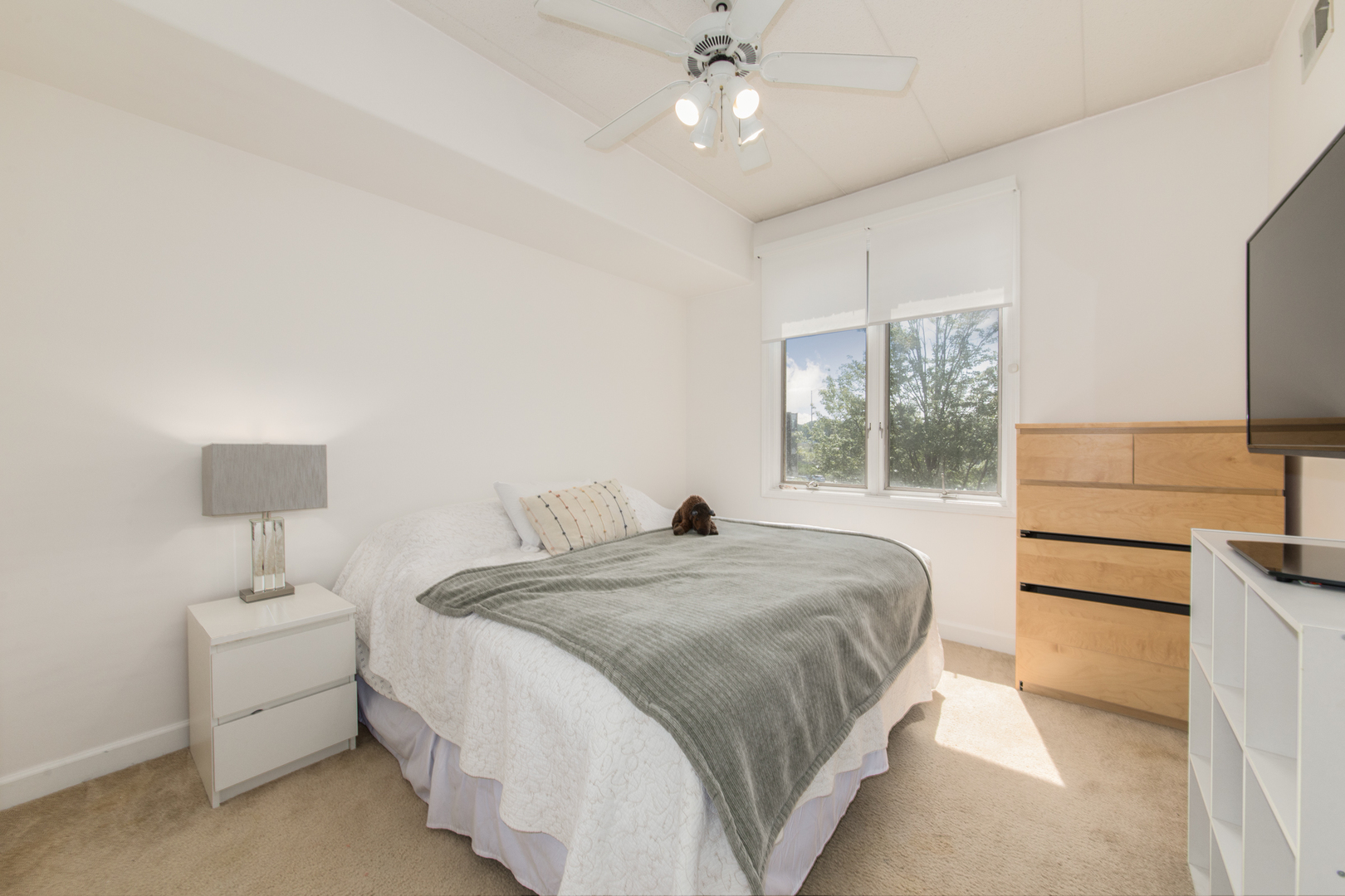 1705 Pavillion Way #303, Park Ridge, IL 60068