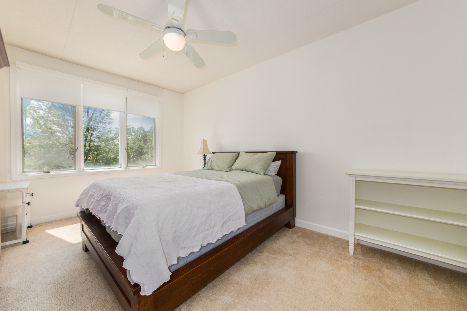 1705 Pavillion Way #303, Park Ridge, IL 60068