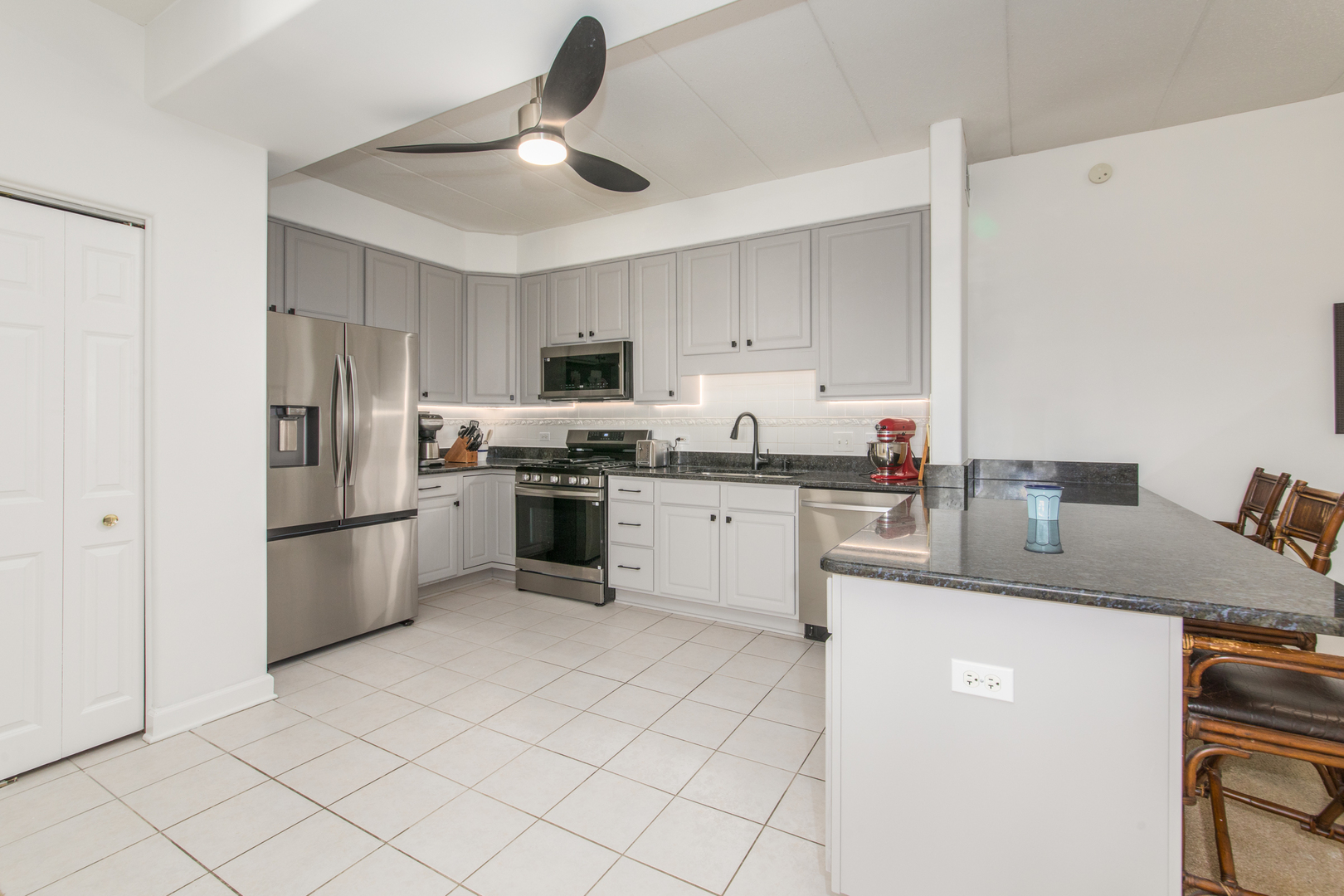 1705 Pavillion Way #303, Park Ridge, IL 60068