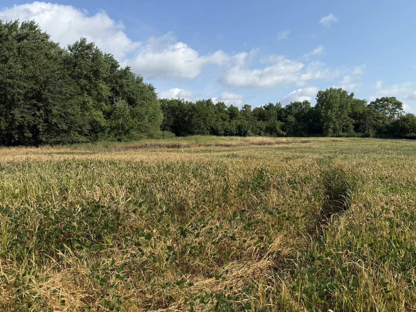 1404 (apx) W Exchange Street, Crete, IL 60417