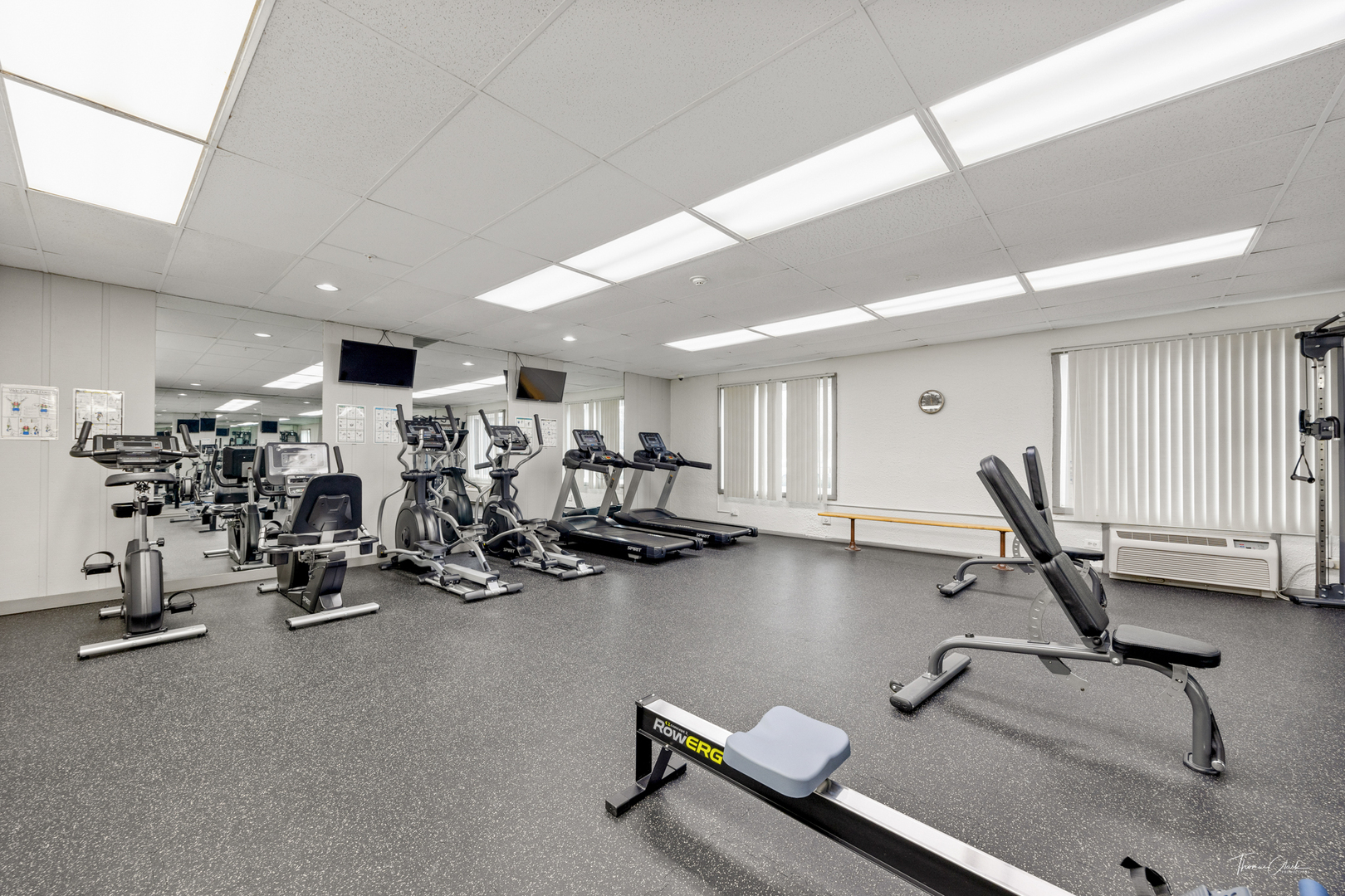 1 Renaissance Place #1115, Palatine, IL 60067