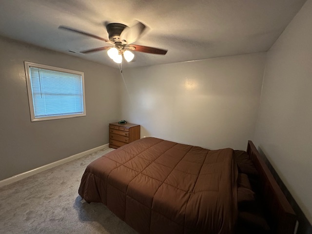 262 W Kennedy Road, Braidwood, IL 60408