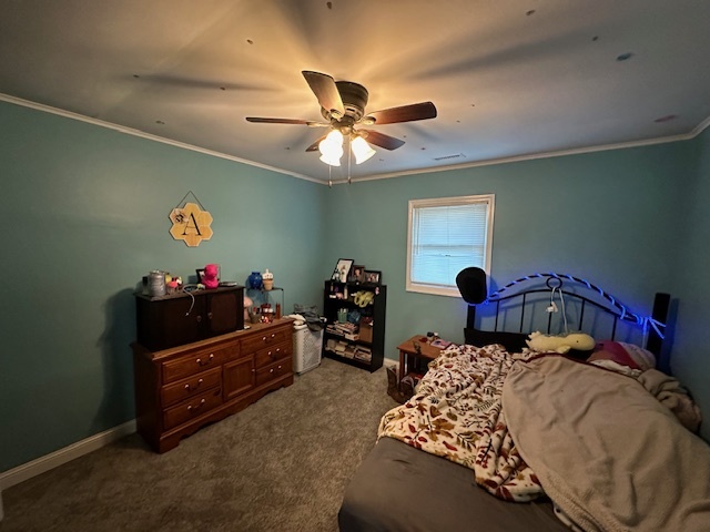 262 W Kennedy Road, Braidwood, IL 60408