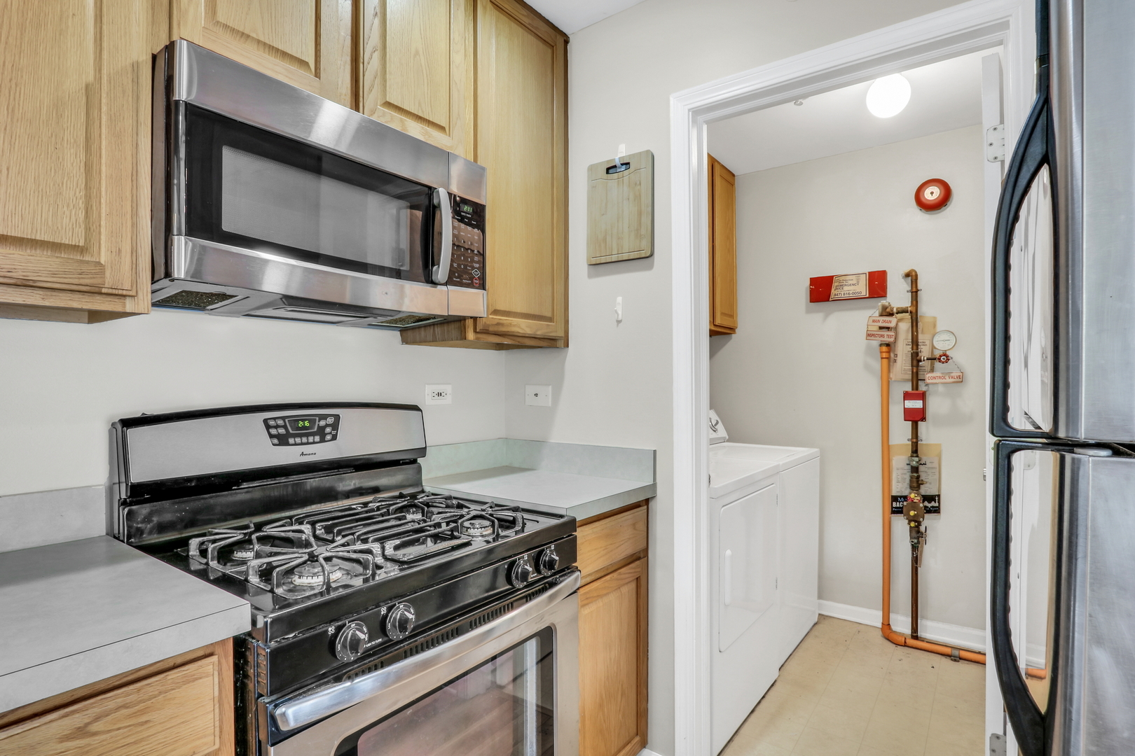 590 Fox Ridge Drive #590, Fox Lake, IL 60020