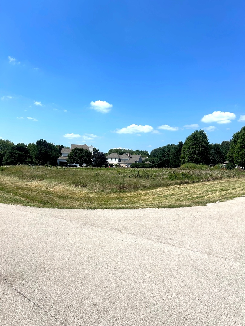 Willow Creek Lot 60 Willow Creek Drive, Elburn, IL 60119