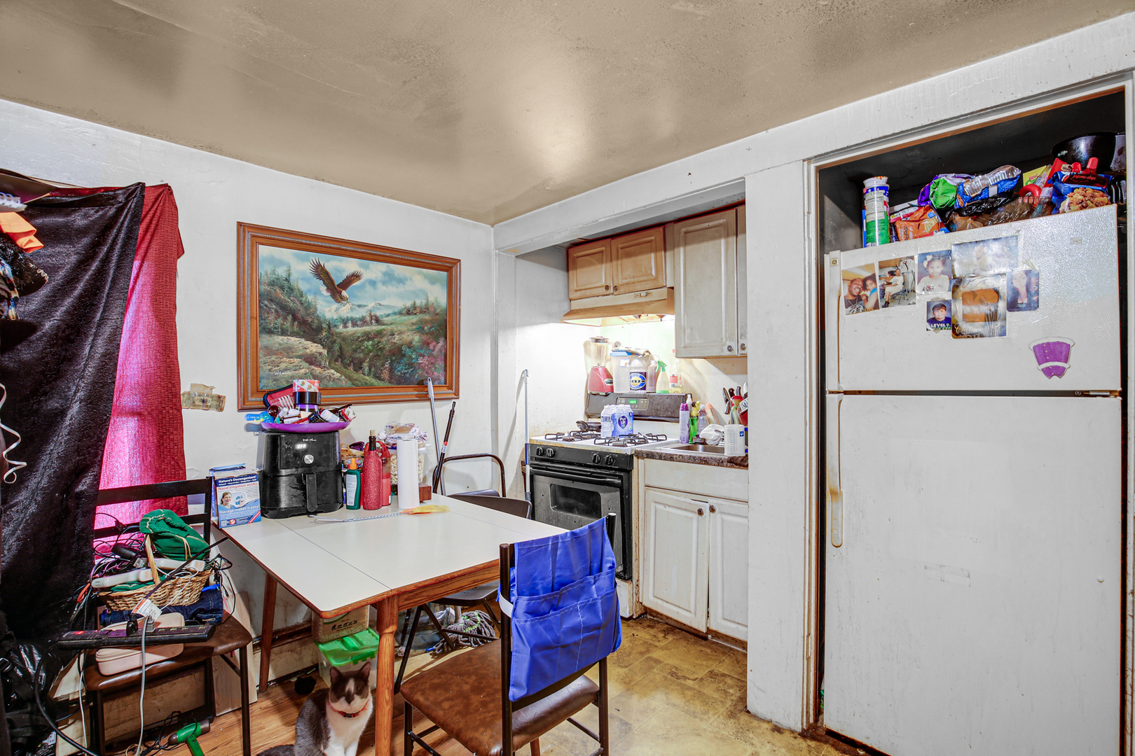39 Mckinley Avenue, Steger, IL 60475