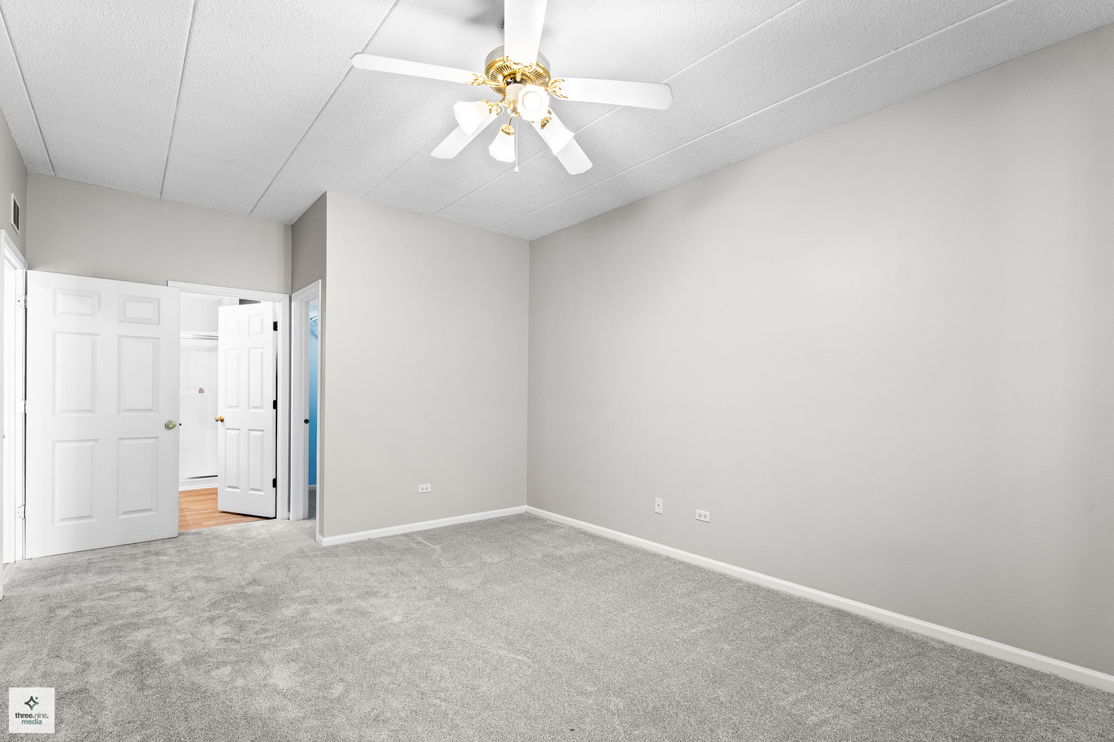 513 E Saddlebrook Lane #513, Vernon Hills, IL 60061