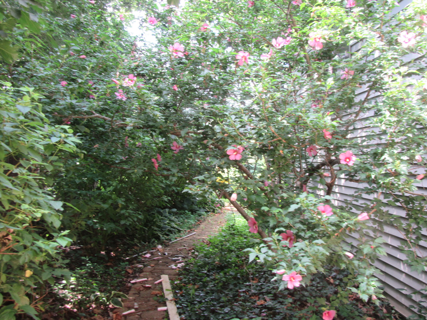 1450 S Stewart Avenue, Lombard, IL 60148