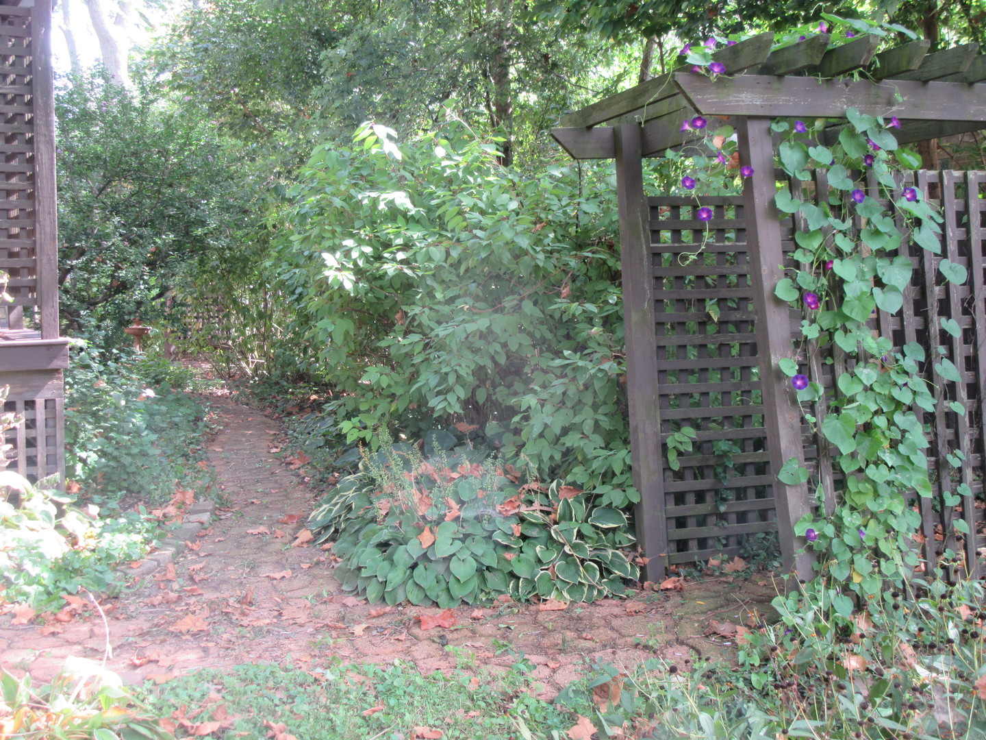 1450 S Stewart Avenue, Lombard, IL 60148