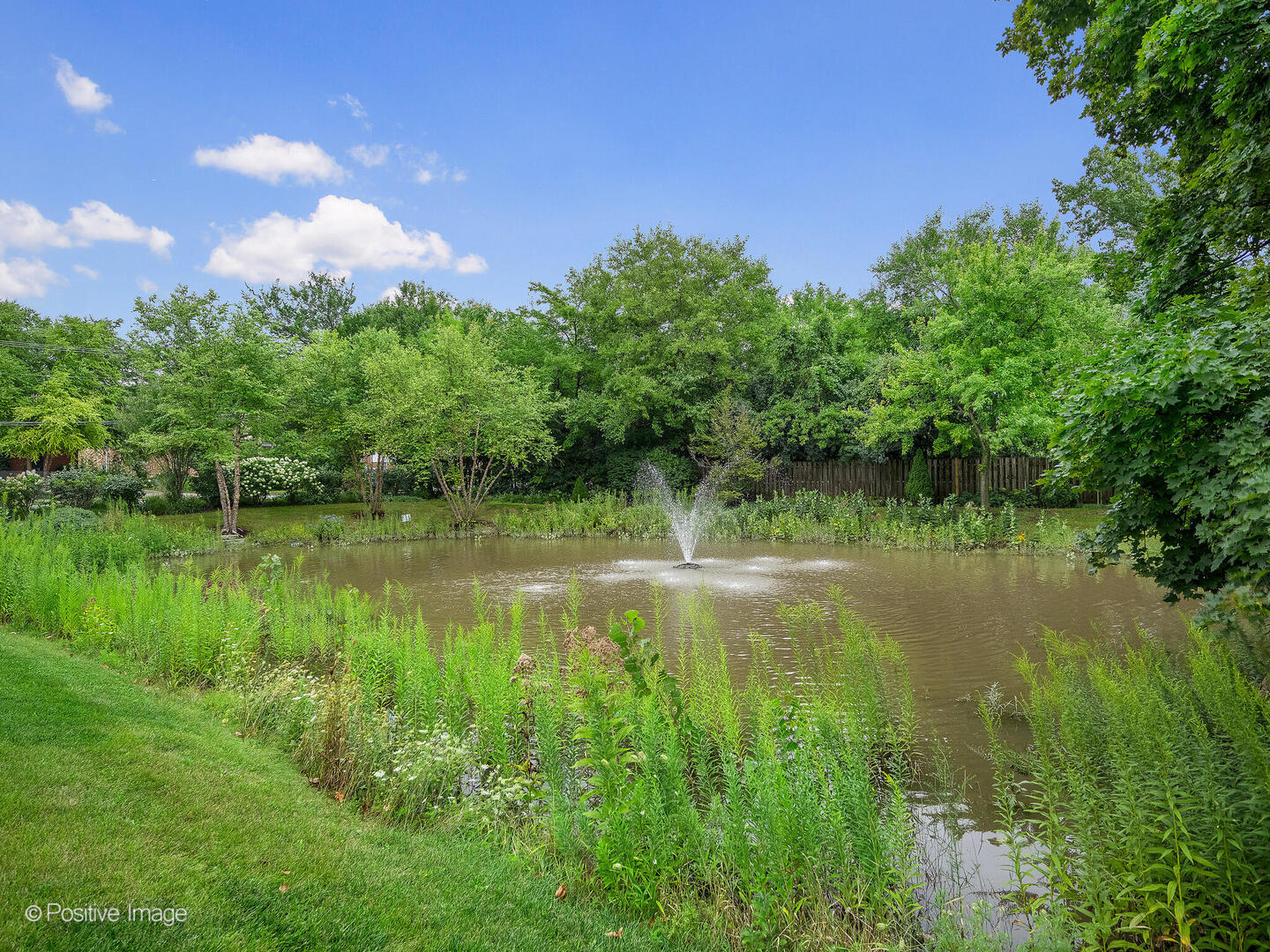 510 Banyon Lane #C, La Grange, IL 60525