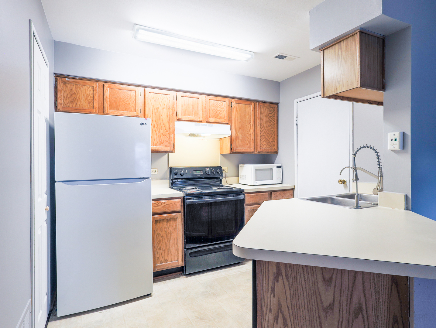 1285 WYNDHAM Lane #102, Palatine, IL 60074