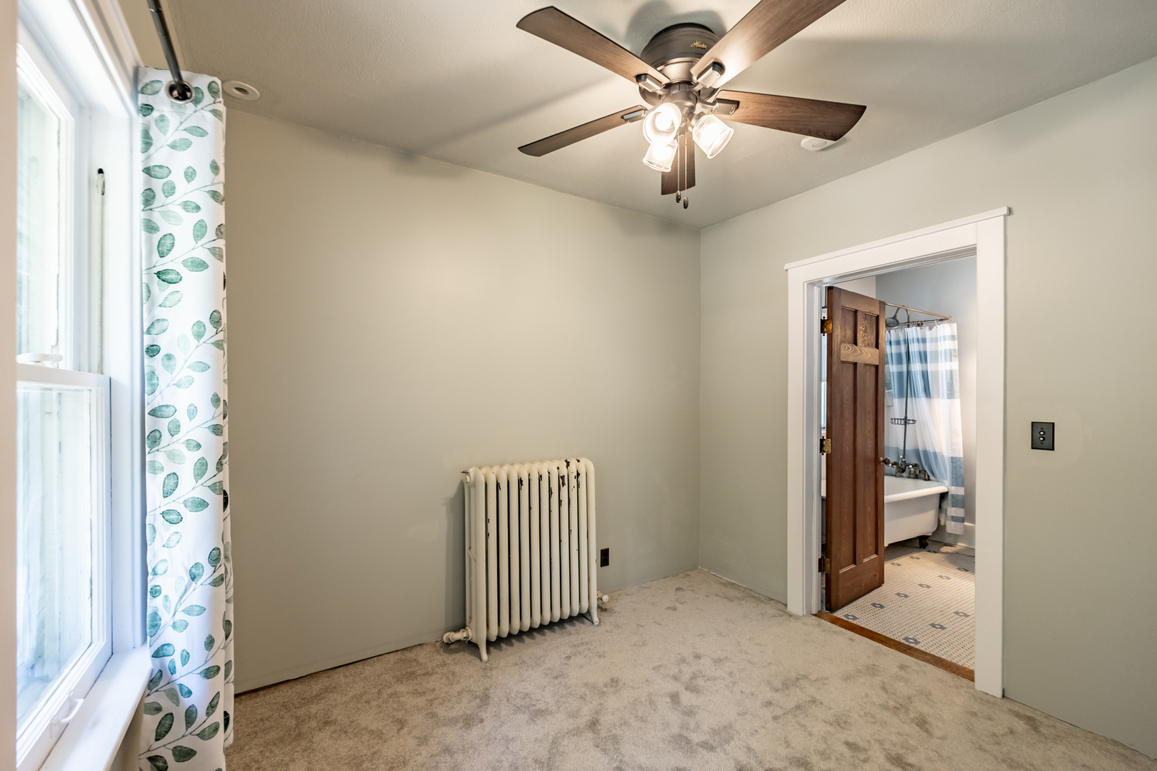 1024 N Spring Street, Elgin, IL 60120