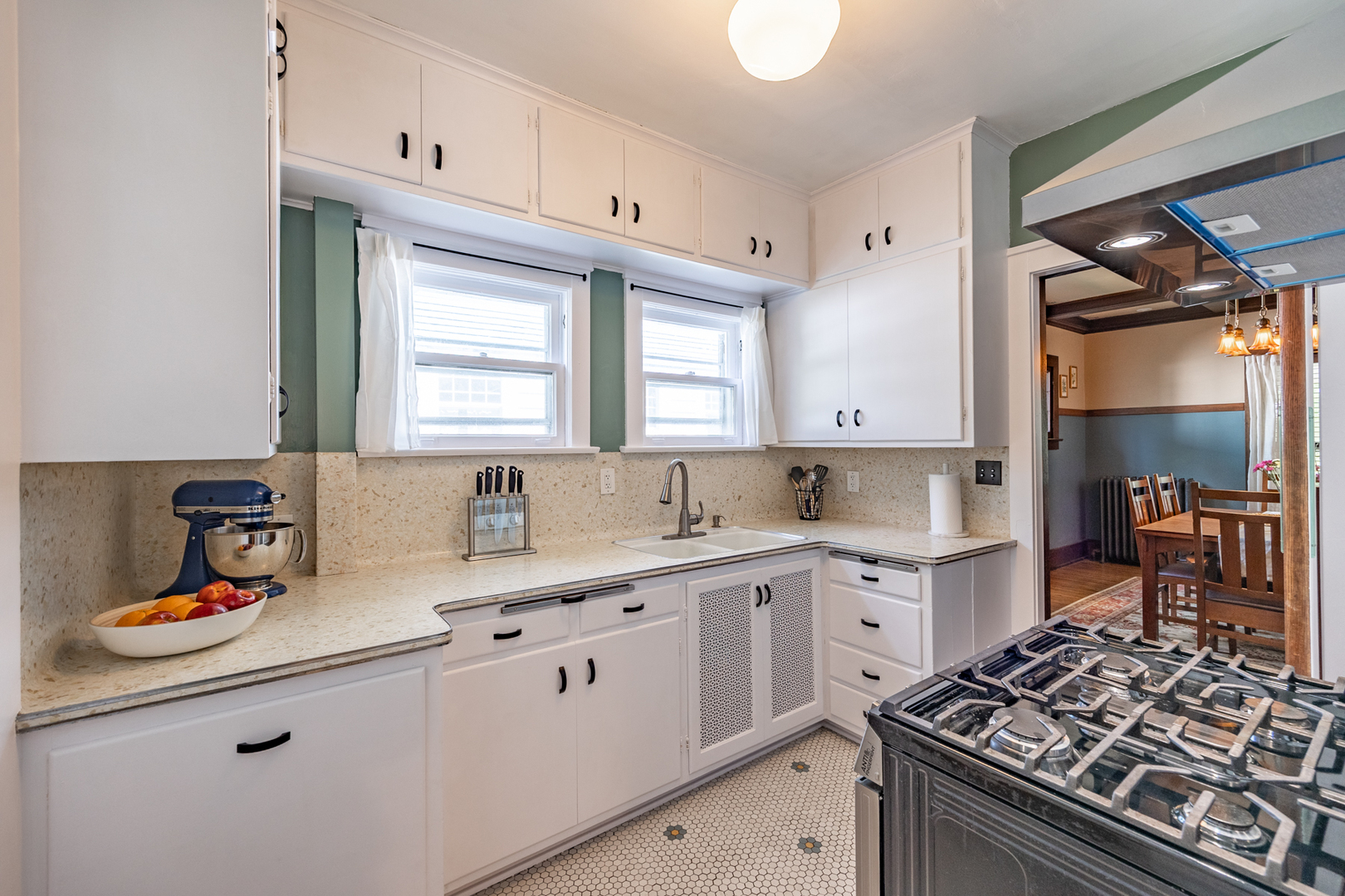 1024 N Spring Street, Elgin, IL 60120