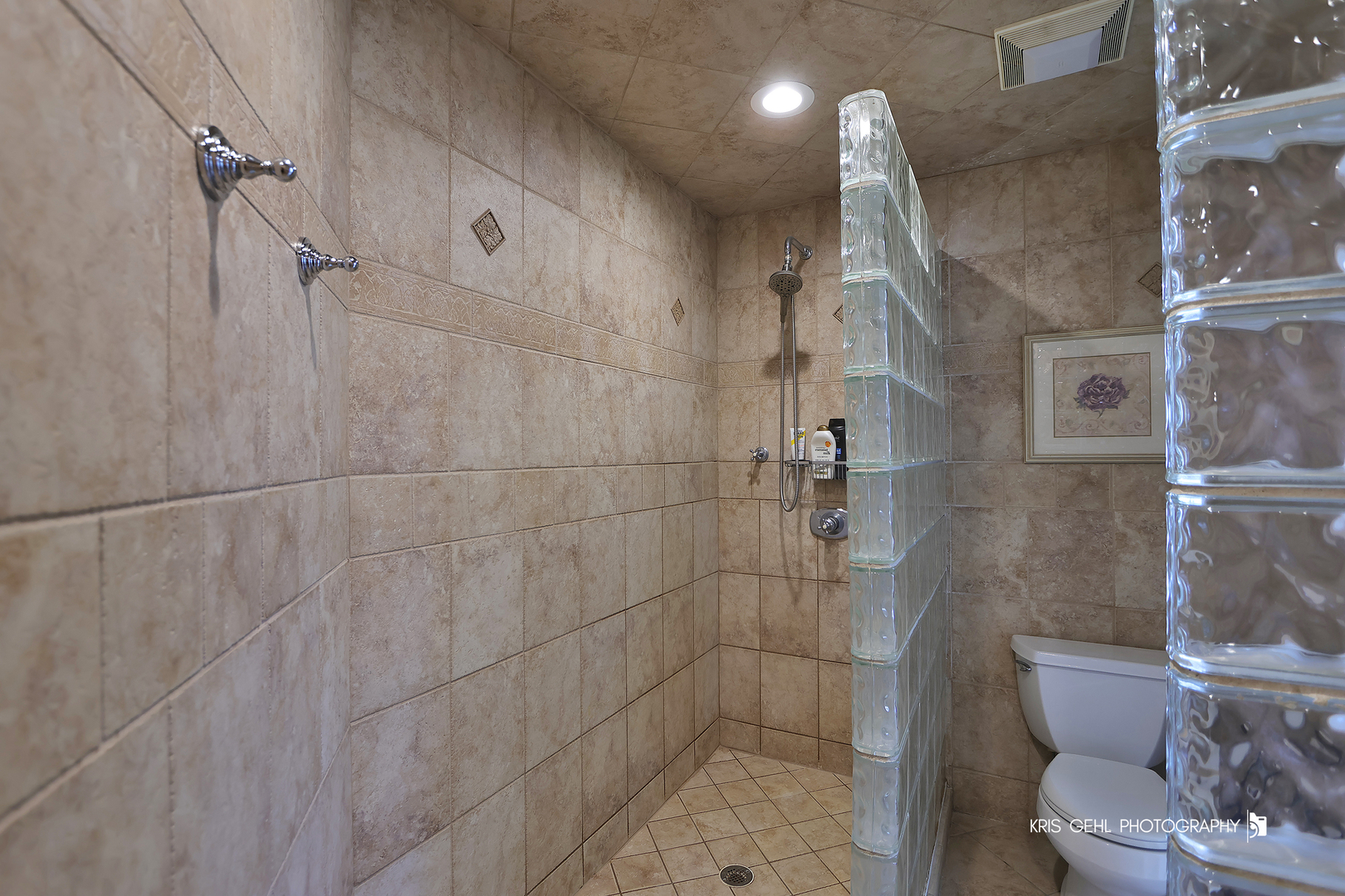 1 SANDPIPER Lane, Hawthorn Woods, IL 60047