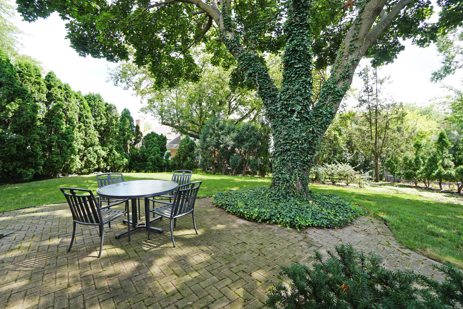 3229 N Volz Drive, Arlington Heights, IL 60004