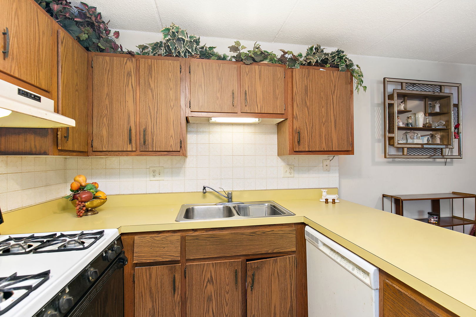 5s100 Pebblewood Lane #E6, Naperville, IL 60563