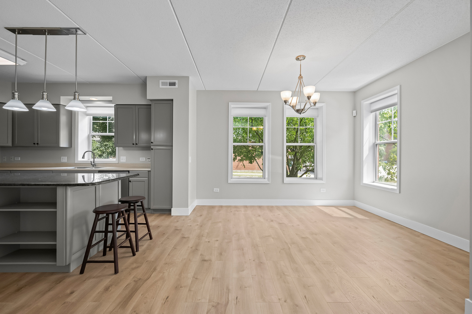 133 W Palatine Road #107A, Palatine, IL 60067